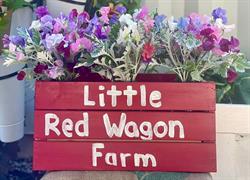 Little Red Wagon Farm, Roberts Creek, BC opening hours