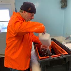 Corkums Island Mussel Farm & Fish Shop, Lunenburg, NS opening hours