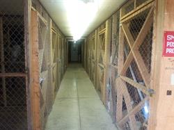 Cedar Springs Mini-Storage, opening hours