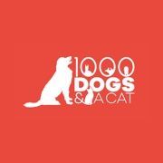 1000dogsandacat, London, ON opening hours