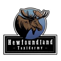 Newfoundland Taxidermy Services, Corner Brook, NL opening hours