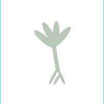 Walking Tree Wellness Centre, Cambridge, ON opening hours
