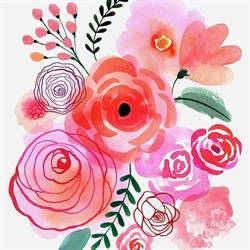 Head to Toe Esthetics by Sara, Cambridge, ON opening hours
