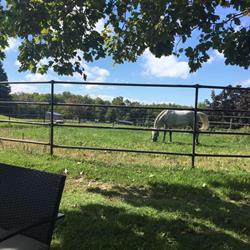 Suncrest Equestrian Centre, Lakefield, ON opening hours
