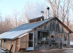 Elliott's Sugar Bush, Mindemoya, ON opening hours