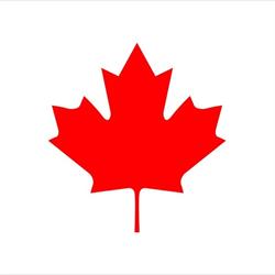 Activate Immigration Inc., Surrey, BC opening hours