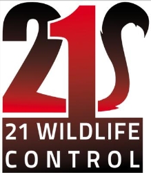 21 wildlife control, Richmond Hill, ON opening hours