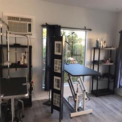 BemBies Pet Stars Grooming, Victoria, BC opening hours