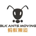 BLK Ants Moving, Scarborough, ON opening hours