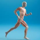 Tee Live Fitness And Kinesiology, Surrey, BC opening hours