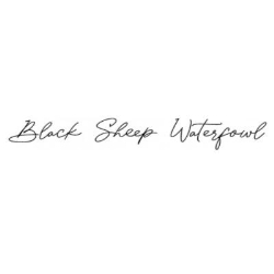 Black Sheep Waterfowl, Weyburn, SK opening hours