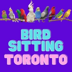 Bird Sitting Toronto, Mississauga, ON opening hours