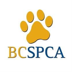 BC SPCA, Richmond, BC opening hours