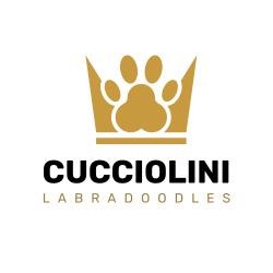 Labradoodles by Cucciolini, Grimsby, ON opening hours