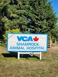 VCA Canada Shamrock Animal Hospital, Comox, BC opening hours