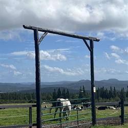 Tower Equestrian Association Inc., Glovertown, NL opening hours
