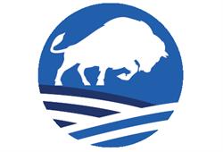 Bison Immigration Consulting, North York, ON opening hours