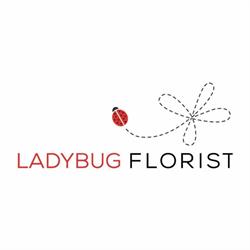 Ladybug Florist, Toronto, ON opening hours