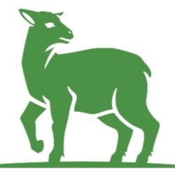 Green Lamb Moving, London, ON opening hours