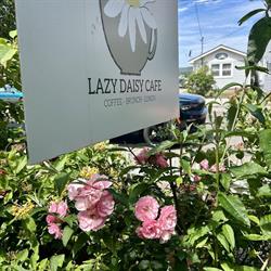Lazy Daisy Café, Annapolis Royal, NS opening hours