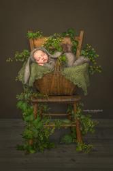 Noelle Mirabella Photography, Grande Prairie, AB opening hours