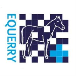 Equerry Equine Surgery and Sports Medicine, Nanaimo, BC opening hours
