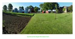 Bogle Seeds, Millgrove, ON opening hours