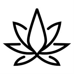 Coconut Cannabis, Thorold, ON opening hours