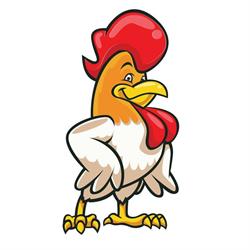 Rooster Shack, Kingston, ON opening hours