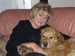Posh Paws Pet Care, Aurora, ON opening hours