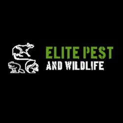 ELITE PEST & WILDLIFE REMOVAL, Hamilton, ON opening hours