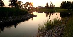 StoneGate Meadows, Raymond, AB opening hours