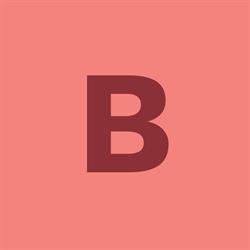 BONKOV INVEST GROUP Inc., Brantford, ON opening hours