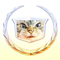 Catillac Co. Building Cat Trees For Canadians, Edmonton, AB opening hours