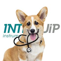 Intriquip Instruments Inc., Emerald Park, SK opening hours
