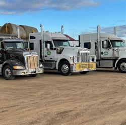 Bassi Pathanan Transport Ltd, Edmonton, AB opening hours