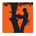 The Tree Feller, Kingston, PE opening hours