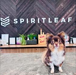 Spiritleaf, Sherwood Park, AB opening hours