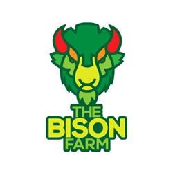 The BisON, Crystal Falls, ON opening hours