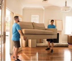 Top Moving Companies Toronto Group, opening hours