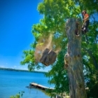 Dignard's Tree Service, Lombardy, ON opening hours