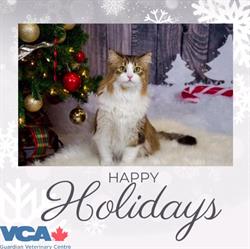 VCA Canada Guardian Veterinary Centre, Edmonton, AB opening hours