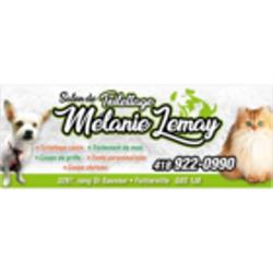 Toilettage Melanie Lemay, Fortierville, QC opening hours