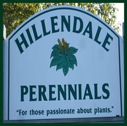Hillendale Perennials, Brookfield, NS opening hours
