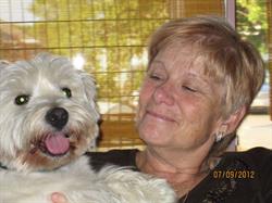 Stress Free Dog Grooming by Wendy Cakebread, Ridgeway, ON opening hours