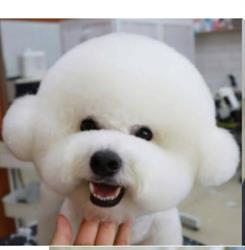K 9TO5 Dog Daycare & Grooming, Calgary, AB opening hours