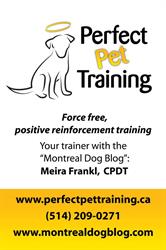 Perfect Pet Training, Dorval, QC opening hours
