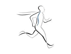 Thornhill Chiropractic Health and Fitness, opening hours