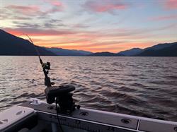 Moyie Marine, opening hours