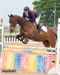 Knapman Equestrian Centre, Fenwick, ON opening hours